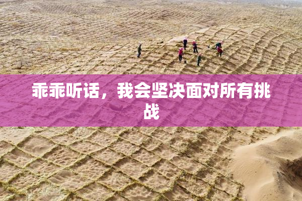 乖乖听话，我会坚决面对所有挑战