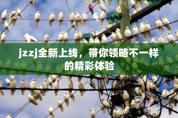 jzzj全新上线，带你领略不一样的精彩体验