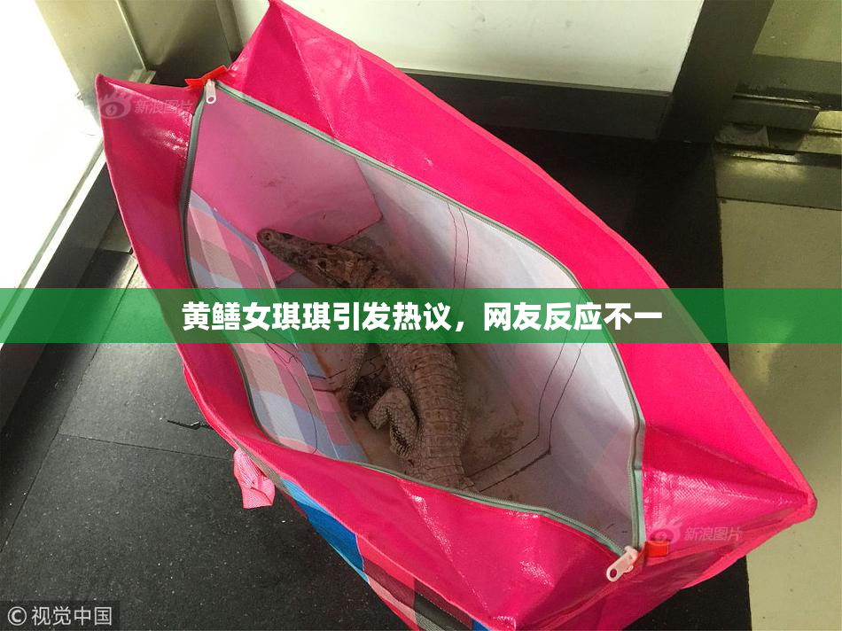 黄鳝女琪琪引发热议，网友反应不一