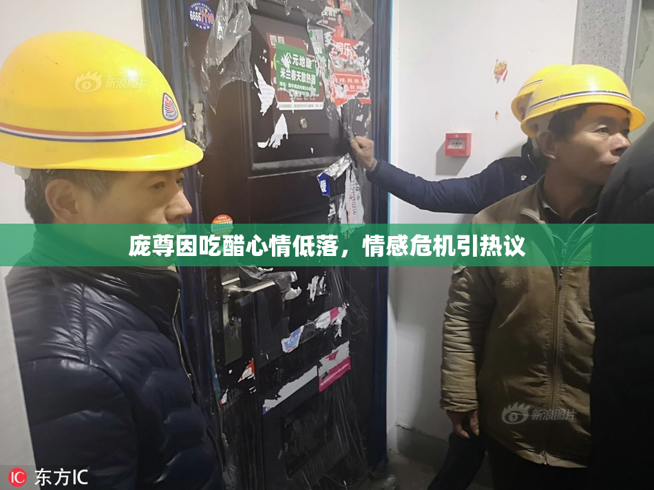 庞尊因吃醋心情低落，情感危机引热议
