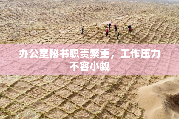 办公室秘书职责繁重，工作压力不容小觑