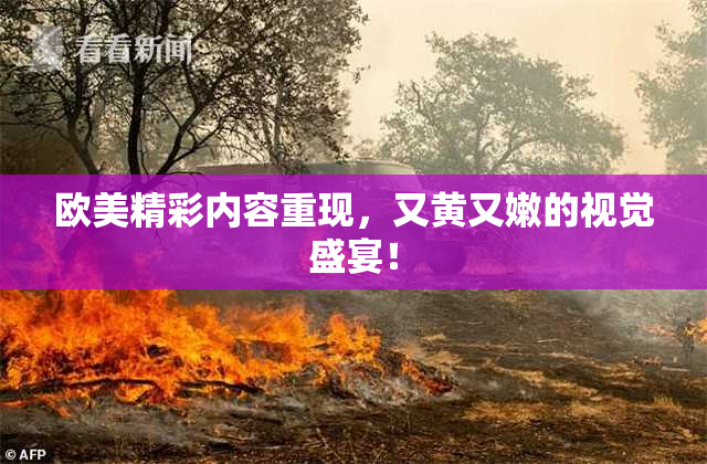 欧美精彩内容重现，又黄又嫩的视觉盛宴！
