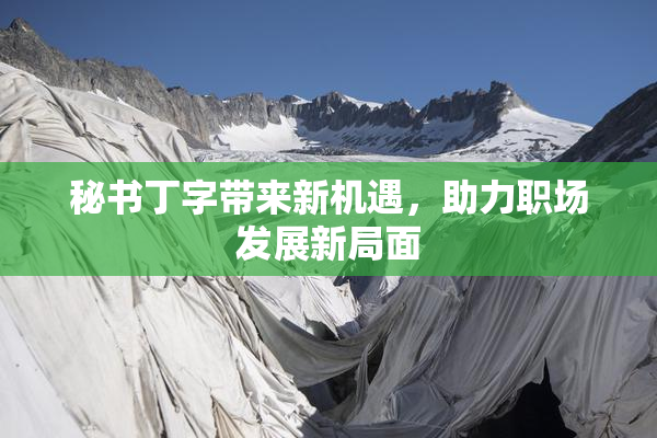 秘书丁字带来新机遇，助力职场发展新局面
