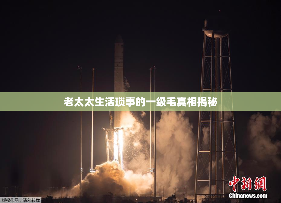 老太太生活琐事的一级毛真相揭秘