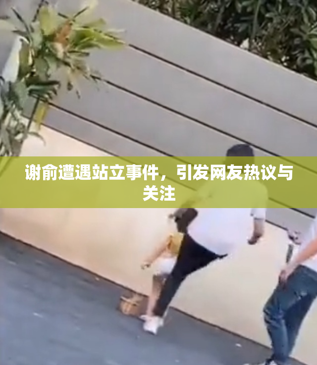 谢俞遭遇站立事件，引发网友热议与关注