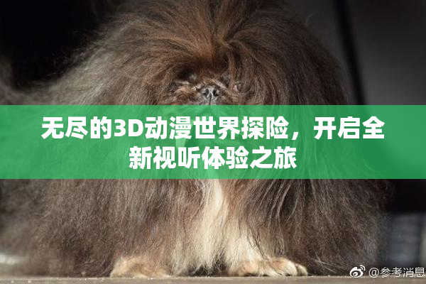 无尽的3D动漫世界探险，开启全新视听体验之旅