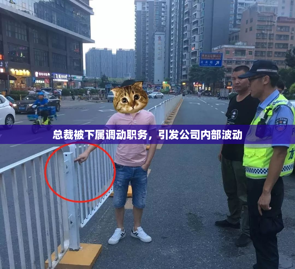 总裁被下属调动职务，引发公司内部波动