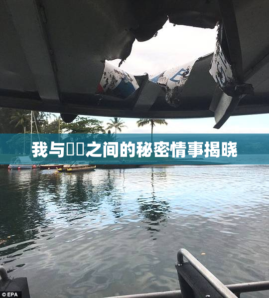 我与妺妺之间的秘密情事揭晓