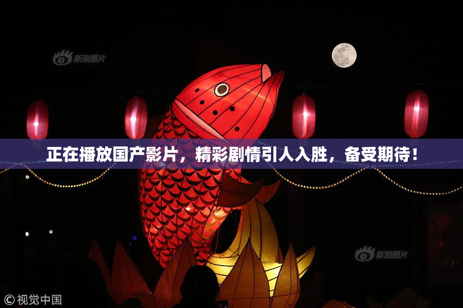 正在播放国产影片，精彩剧情引人入胜，备受期待！