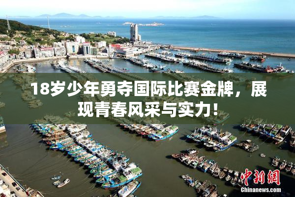 18岁少年勇夺国际比赛金牌，展现青春风采与实力！