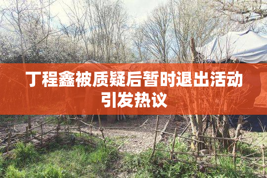 丁程鑫被质疑后暂时退出活动引发热议