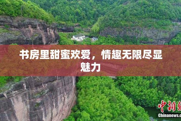 书房里甜蜜欢爱，情趣无限尽显魅力
