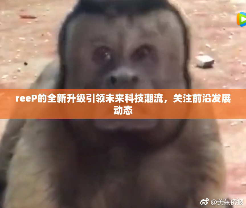 reeP的全新升级引领未来科技潮流，关注前沿发展动态