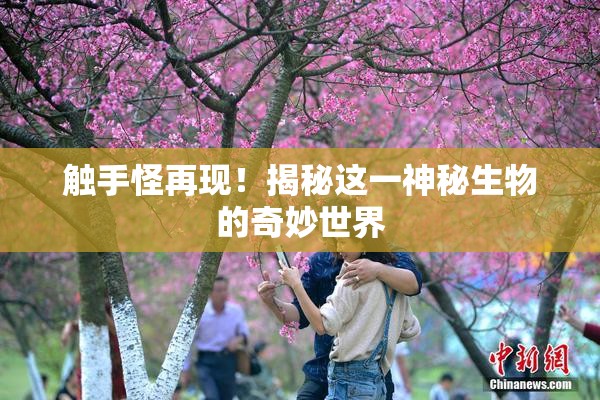 触手怪再现！揭秘这一神秘生物的奇妙世界