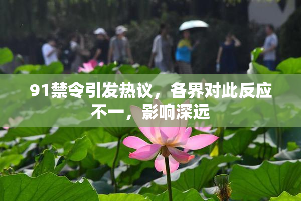 91禁令引发热议，各界对此反应不一，影响深远