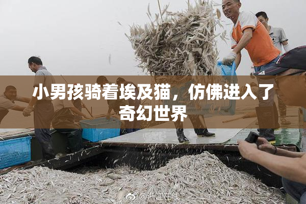 小男孩骑着埃及猫，仿佛进入了奇幻世界