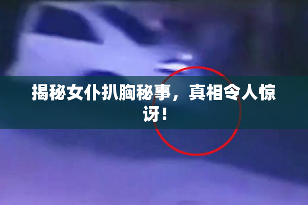揭秘女仆扒胸秘事，真相令人惊讶！