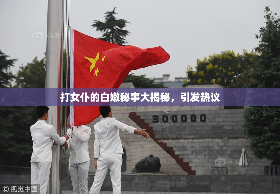 打女仆的白嫩秘事大揭秘，引发热议