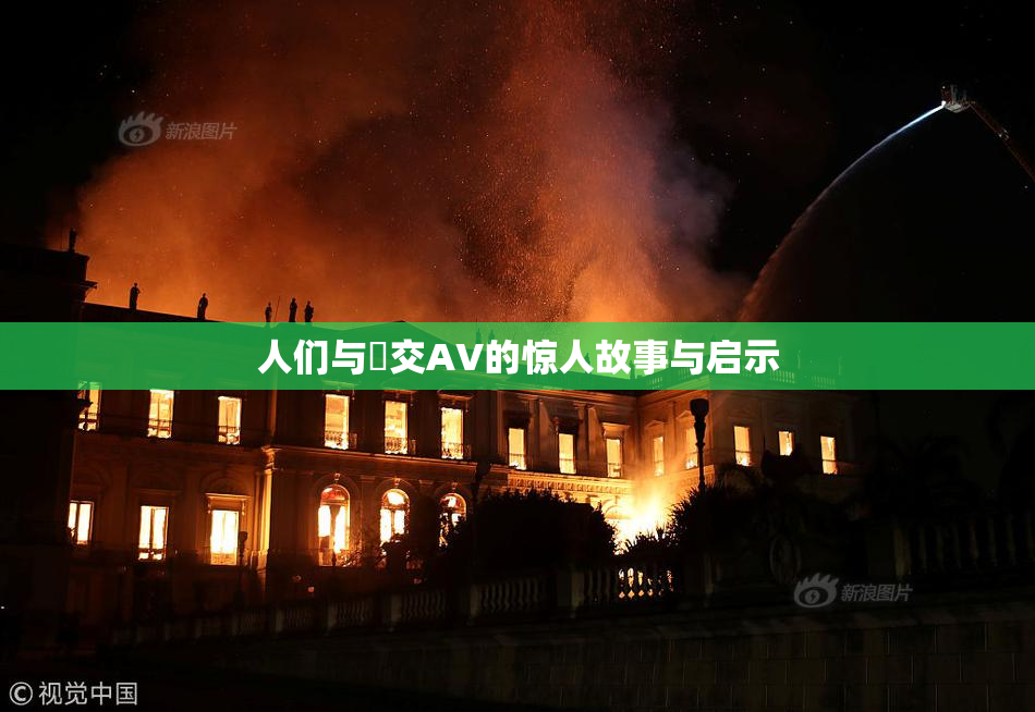 人们与嘼交AV的惊人故事与启示