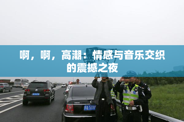 啊，啊，高潮：情感与音乐交织的震撼之夜