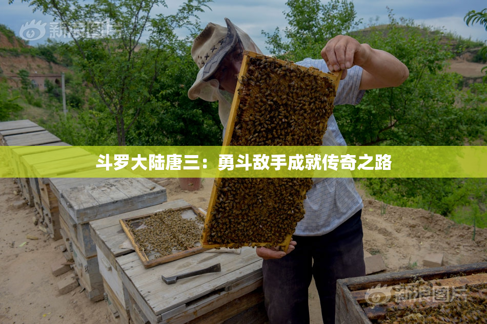 斗罗大陆唐三：勇斗敌手成就传奇之路