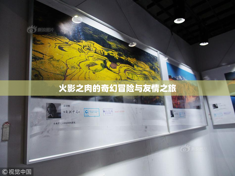 火影之肉的奇幻冒险与友情之旅