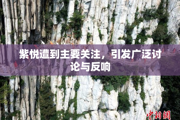 紫悦遭到主要关注，引发广泛讨论与反响