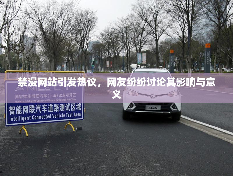 禁漫网站引发热议，网友纷纷讨论其影响与意义