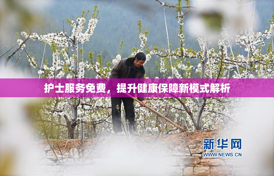 护士服务免费，提升健康保障新模式解析
