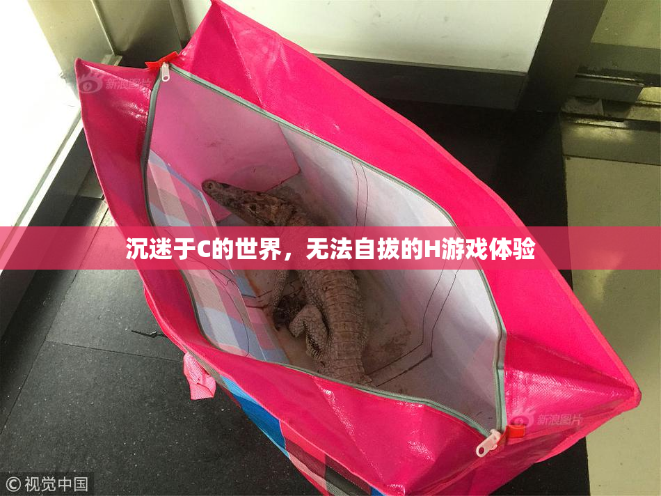 沉迷于C的世界，无法自拔的H游戏体验