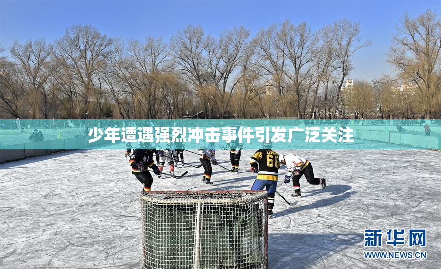 少年遭遇强烈冲击事件引发广泛关注