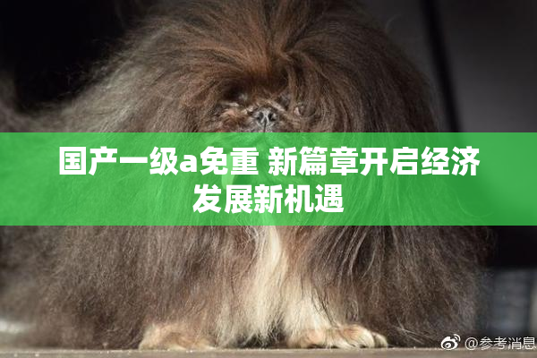 国产一级a免重 新篇章开启经济发展新机遇