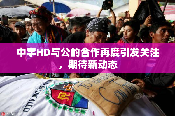 中字HD与公的合作再度引发关注，期待新动态