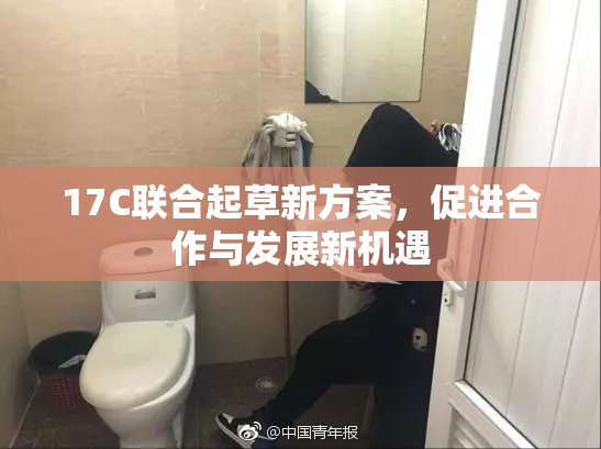 17C联合起草新方案，促进合作与发展新机遇