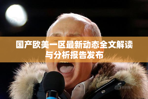 国产欧美一区最新动态全文解读与分析报告发布