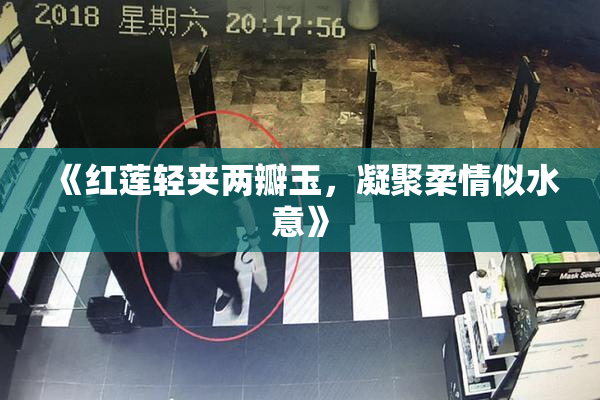 《红莲轻夹两瓣玉，凝聚柔情似水意》