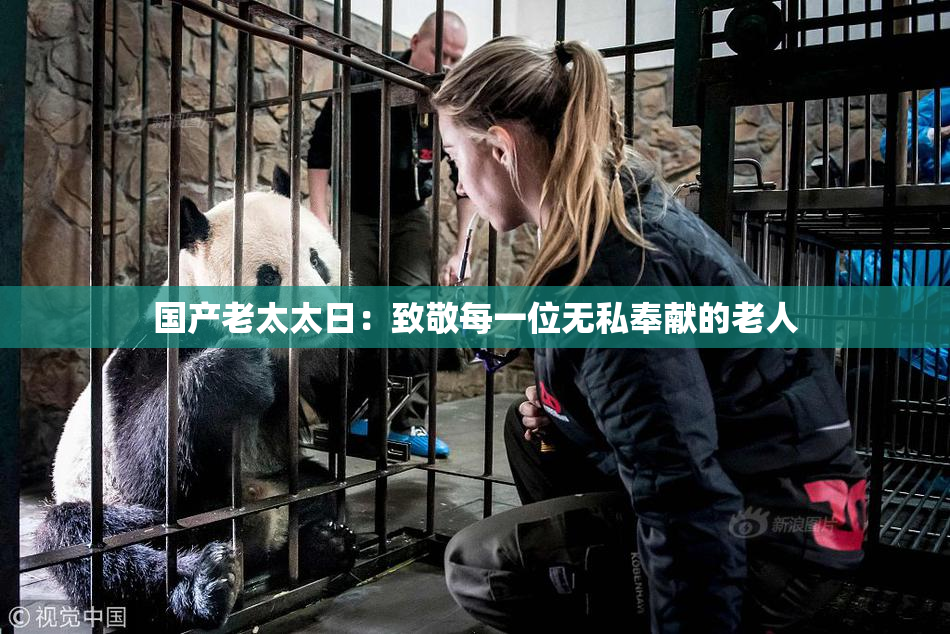 国产老太太日：致敬每一位无私奉献的老人