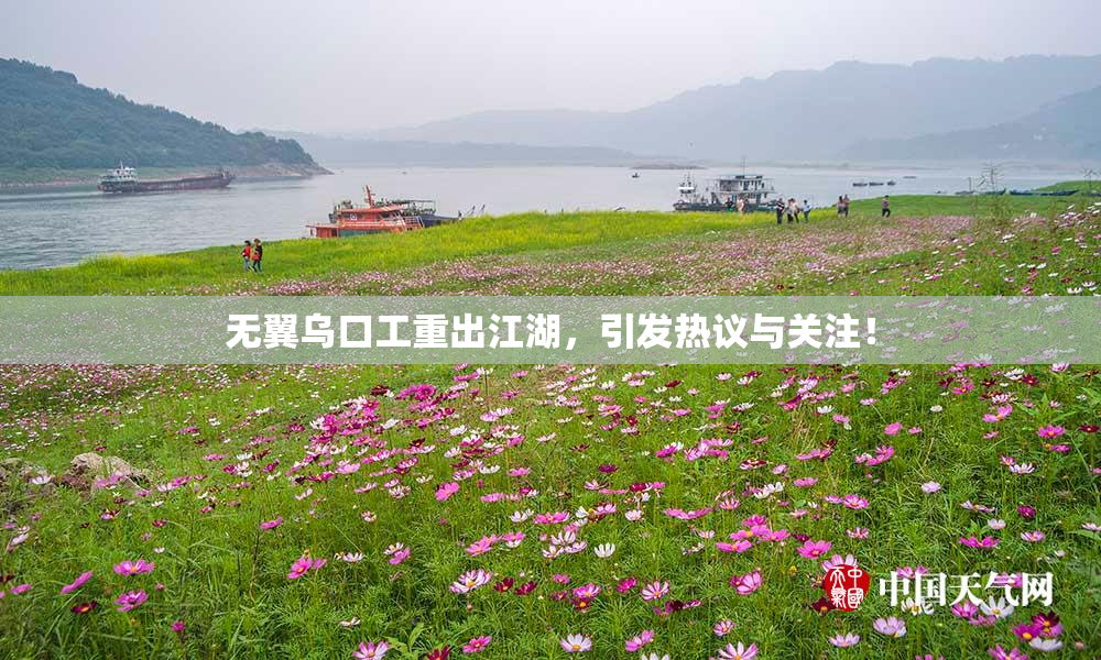 无翼乌口工重出江湖，引发热议与关注！
