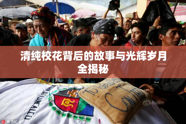 清纯校花背后的故事与光辉岁月全揭秘