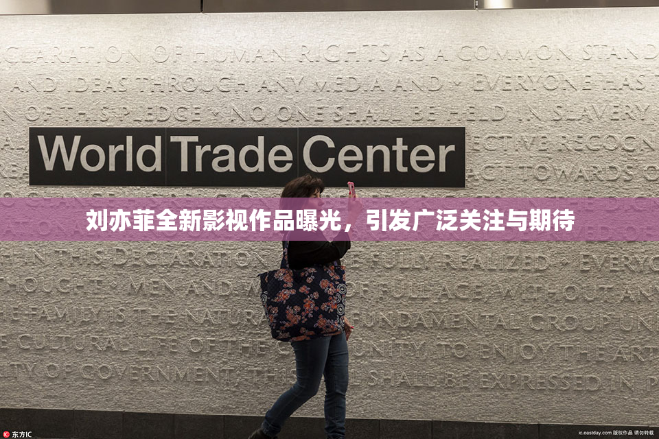 刘亦菲全新影视作品曝光，引发广泛关注与期待
