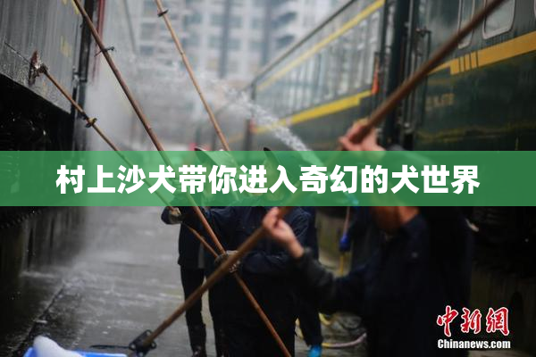 村上沙犬带你进入奇幻的犬世界