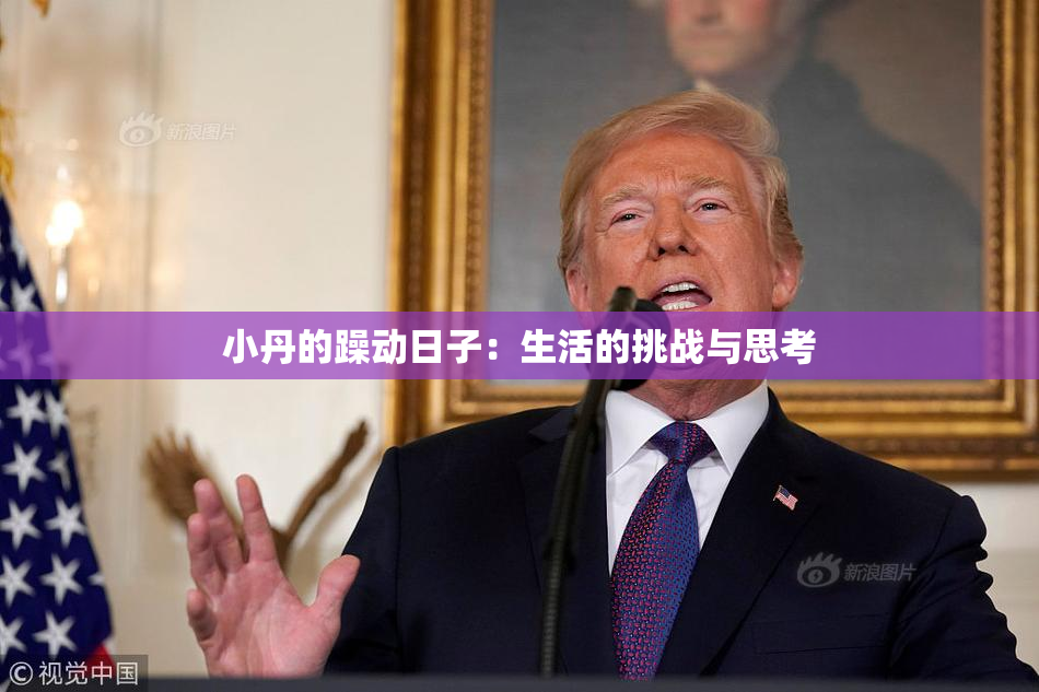 小丹的躁动日子：生活的挑战与思考
