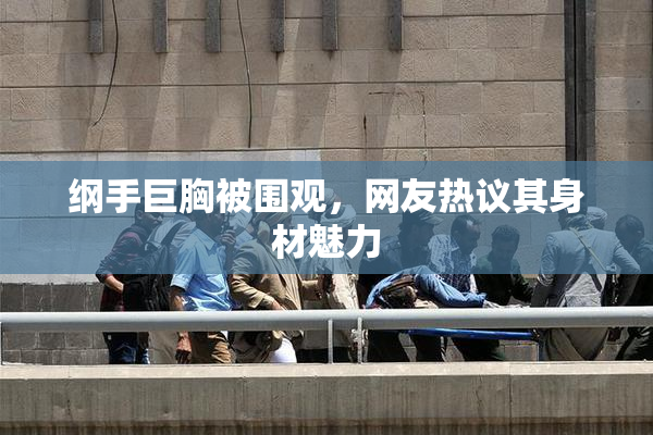 纲手巨胸被围观，网友热议其身材魅力