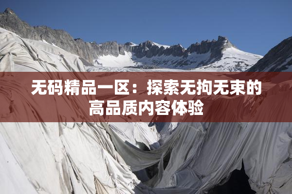 无码精品一区：探索无拘无束的高品质内容体验