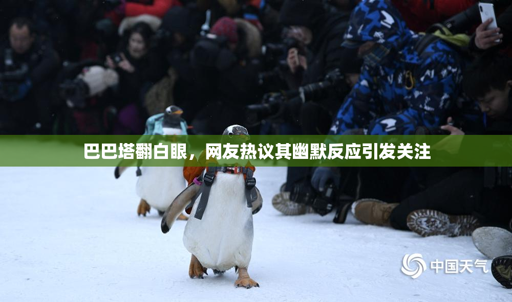 巴巴塔翻白眼，网友热议其幽默反应引发关注