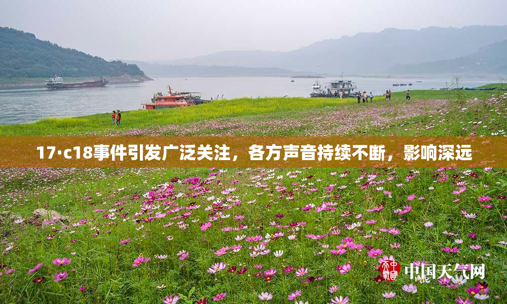 17·c18事件引发广泛关注，各方声音持续不断，影响深远