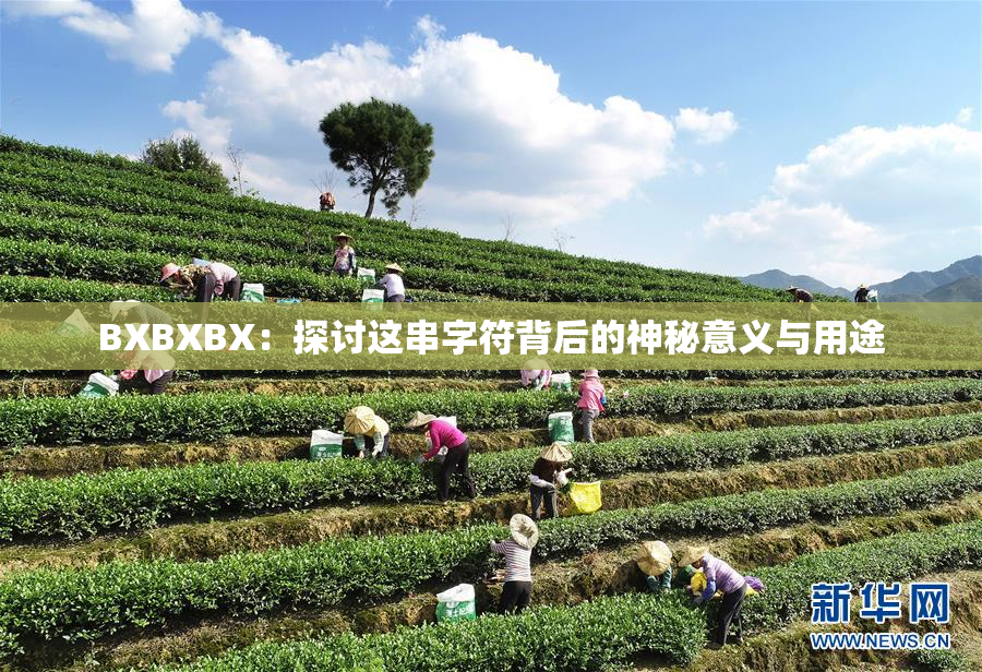 BXBXBX：探讨这串字符背后的神秘意义与用途
