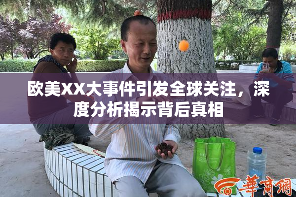 欧美XX大事件引发全球关注，深度分析揭示背后真相