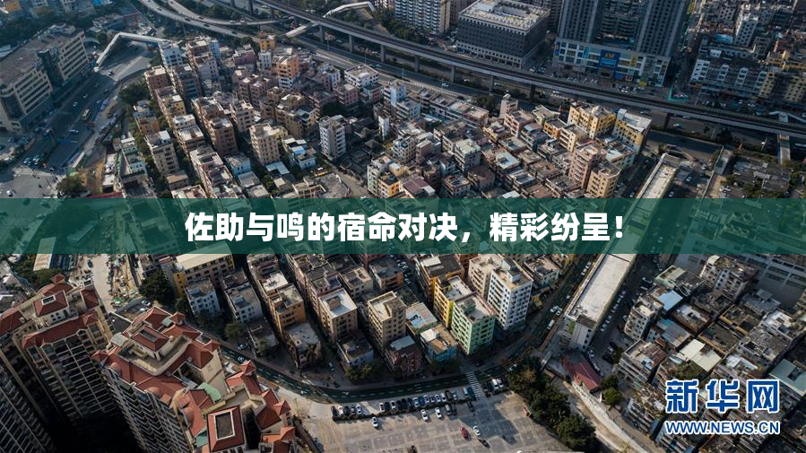 佐助与鸣的宿命对决，精彩纷呈！
