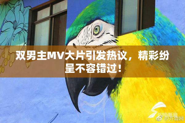 双男主MV大片引发热议，精彩纷呈不容错过！